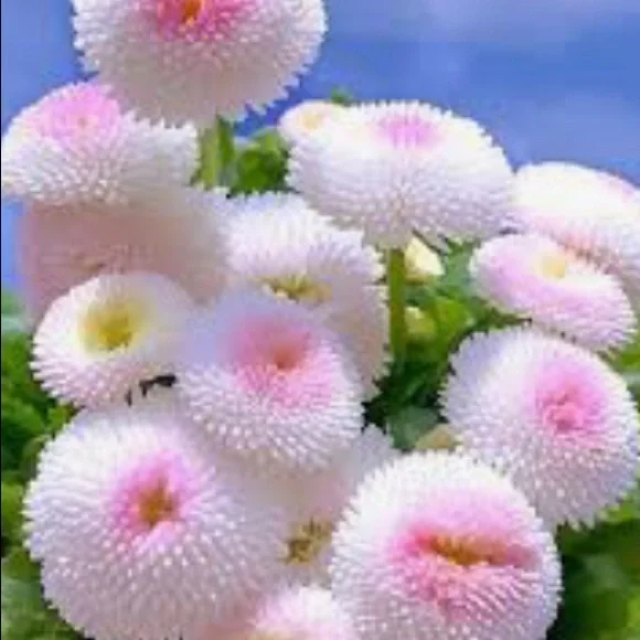 HAVE A BEAUTIFUL DAY.💕💕💕 - Picture 3 of 6